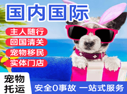 澜沧景迈航空空运国际宠物托运 【国